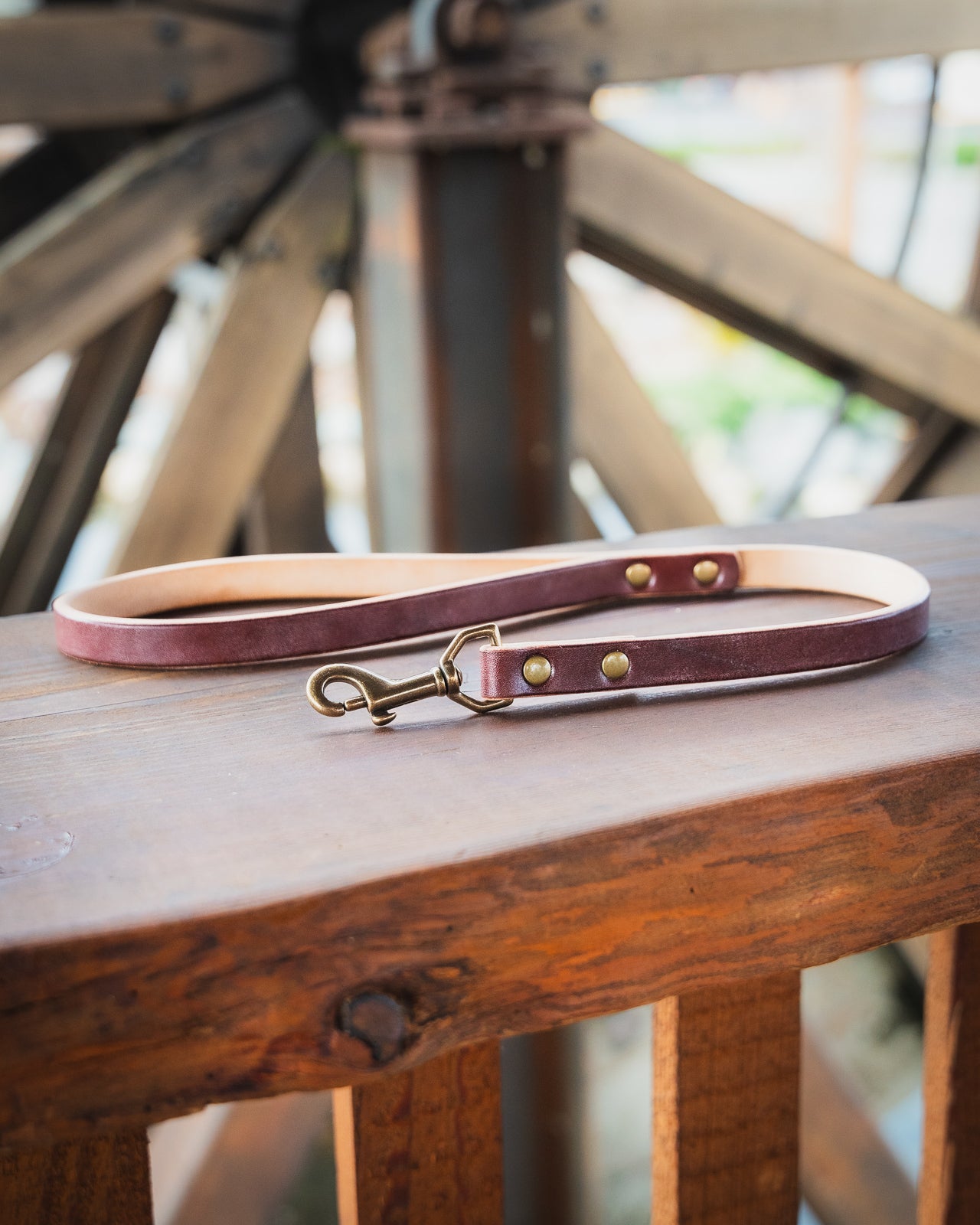 Leashes & Traffic Handles