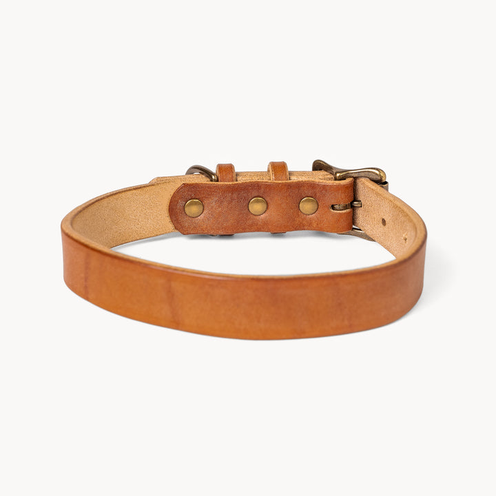Heritage Dog Collar