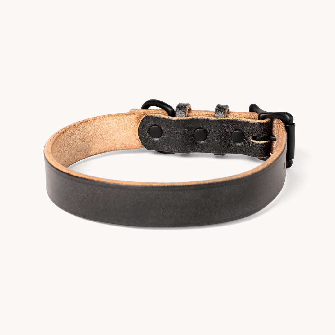 Heritage Dog Collar