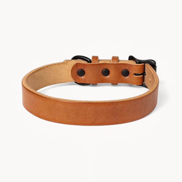 Heritage Dog Collar