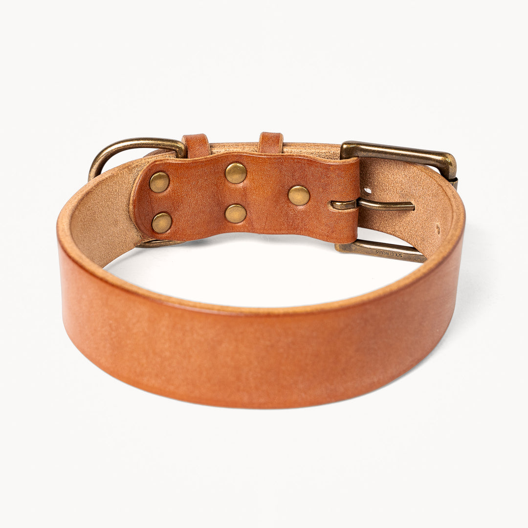 Heritage Dog Collar