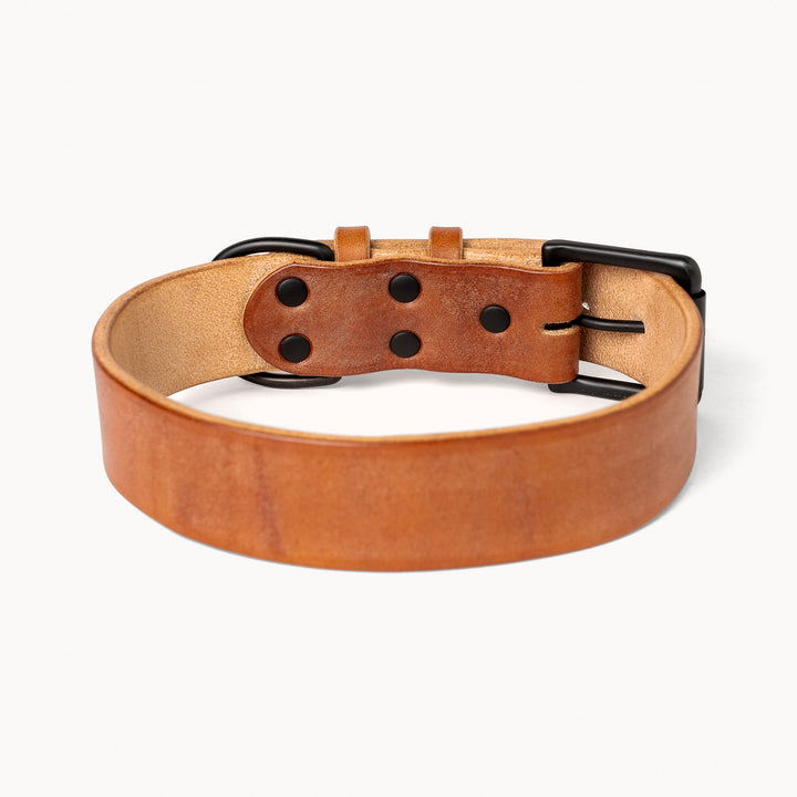Heritage Dog Collar