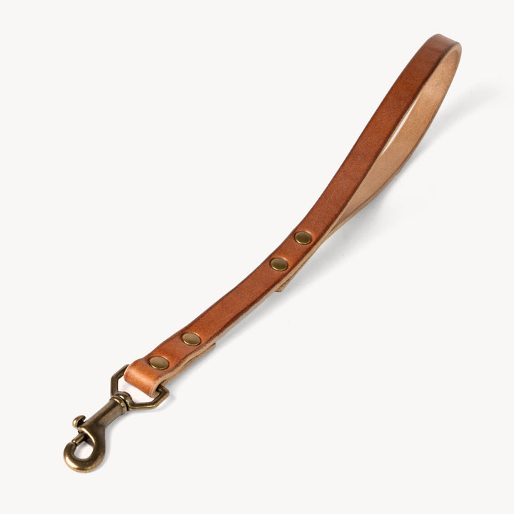 Heritage Dog Traffic Handle